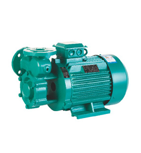 W type flange type vortex pump