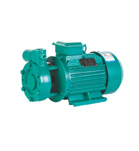 W type screw pum