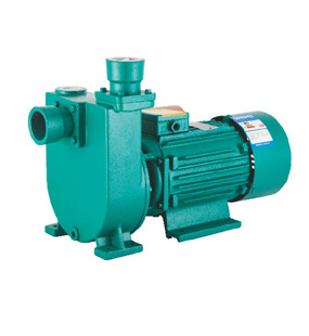 DBZ Mingdong centrifugal single-phase pump